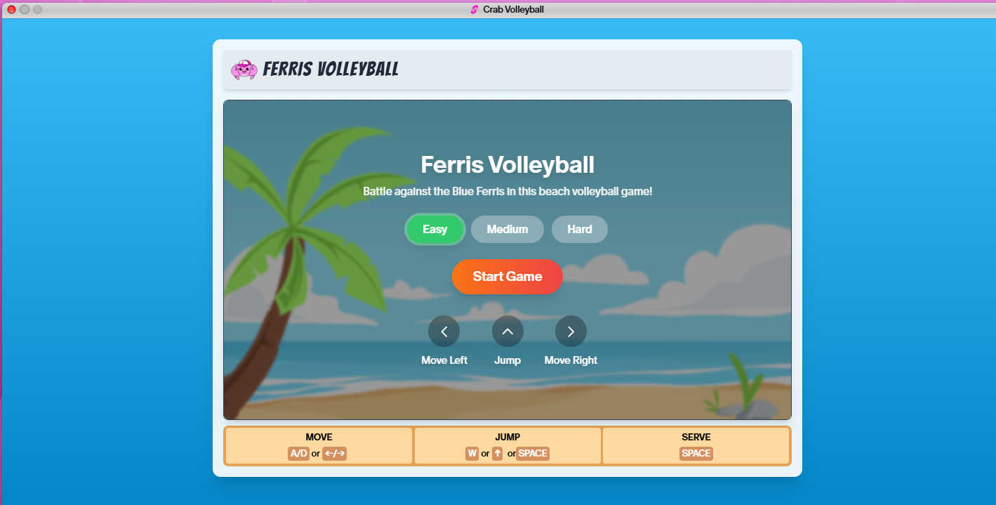 Ferris Volleyball Game